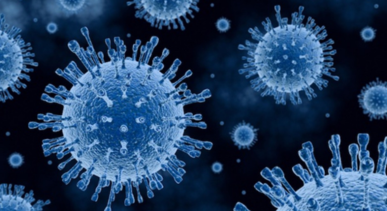 Screen Shot 2017-03-08 at 1.16.39 PM