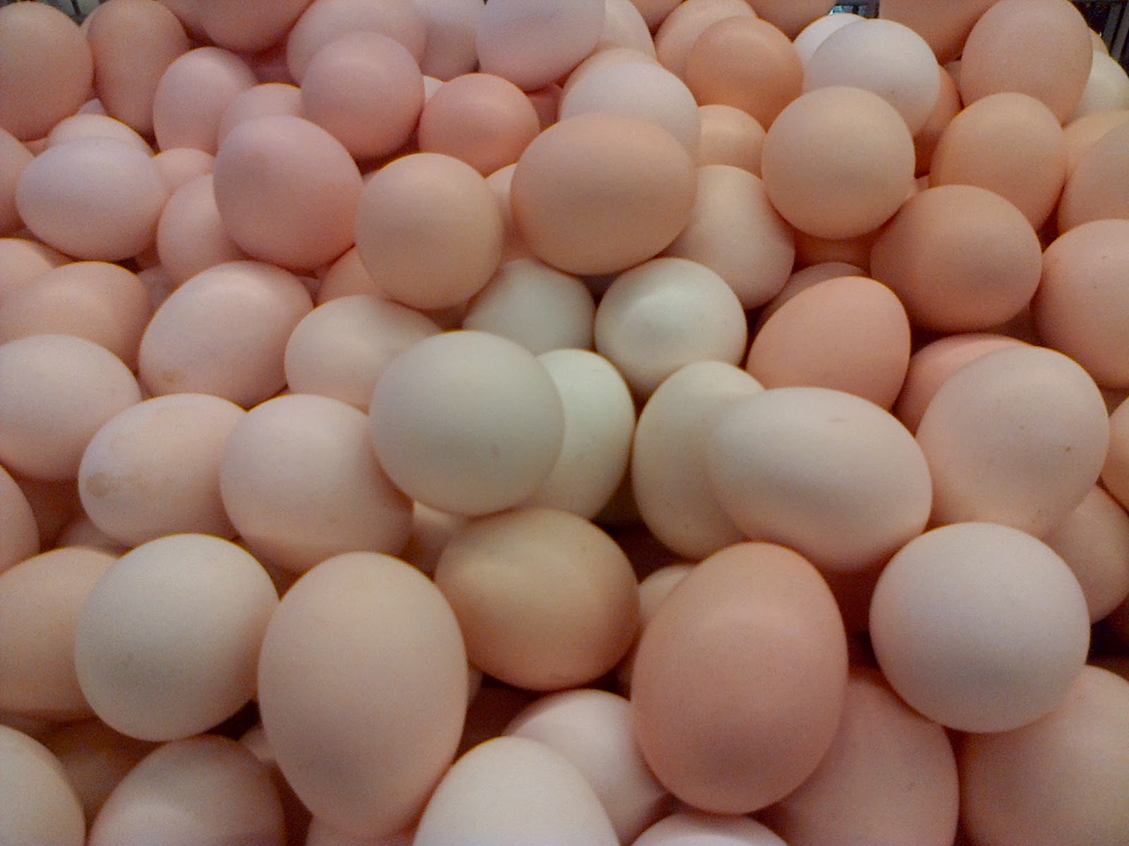 Jenayah Lempar Telur Ayam Serang Pemandu Kereta Di Malaysia?