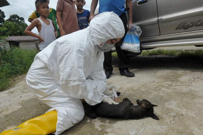 pegawaiveterinar0607